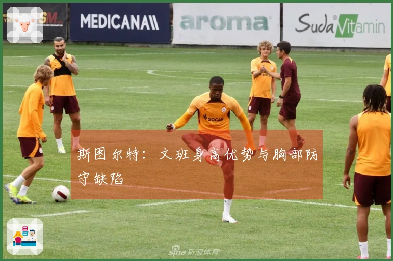 斯图尔特：文班身高优势与胸部防守缺陷