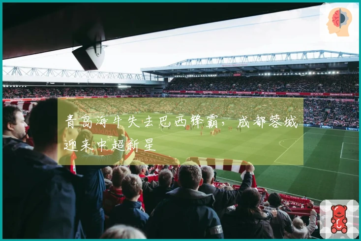 青岛海牛失去巴西锋霸，成都蓉城迎来中超新星