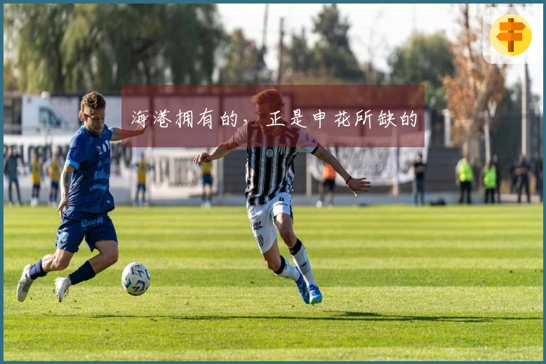海港拥有的，正是申花所缺的